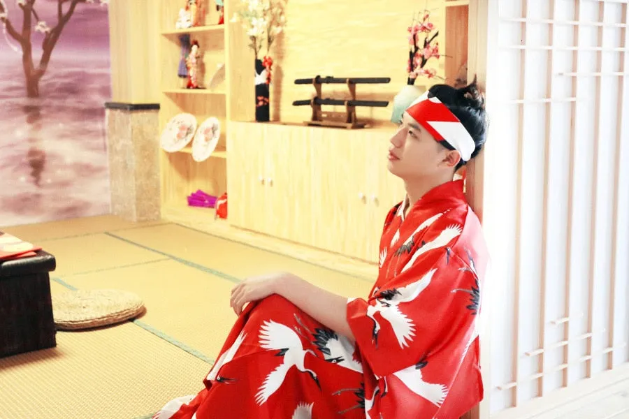 Japanese Crane Kimono Dress