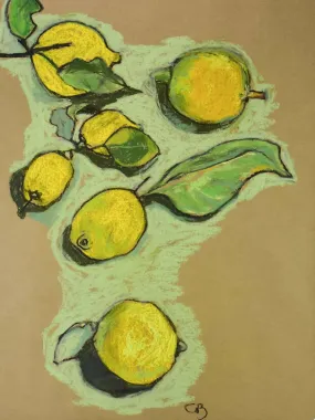 Lemons still life - Caroline Beauzon - pastel on craft paper 24½" x 34¼"