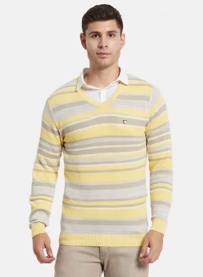 Men Yellow Stripe Pullover
