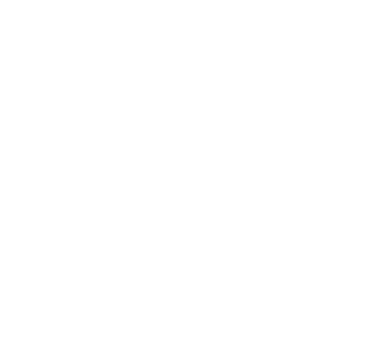 Mens, Pullover Hoodie Athletic Overlay
